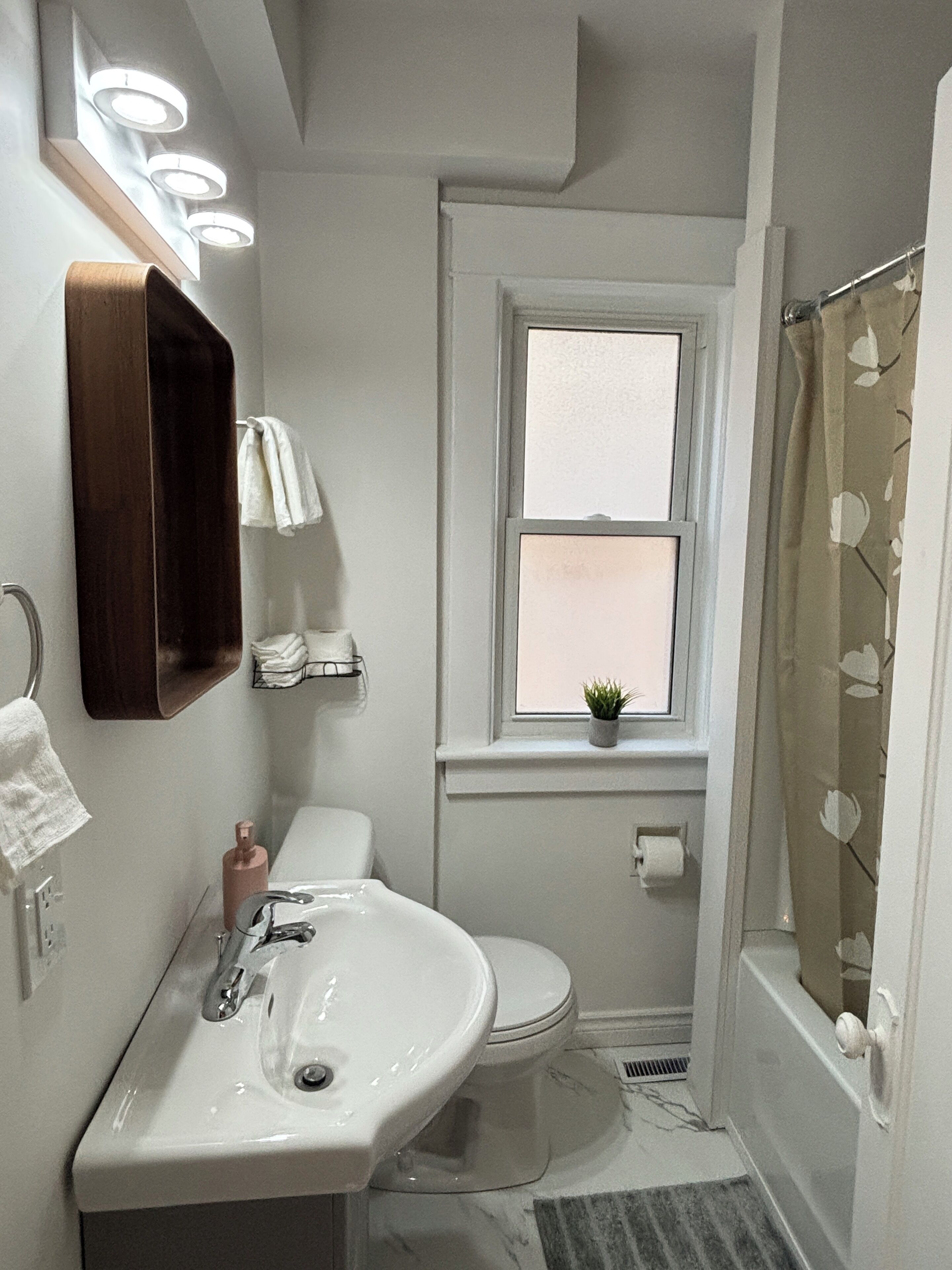 Hair dryer, towels, soap, toilet paper