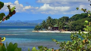 A tropical beach with clear waters, palm trees, and a small structure on the shore.