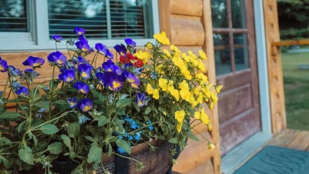 A wooden cabin with a porch, a sign reading "Cottage Lodge," and a flower arrangement on the porch. - Cattle Kate At Mountain River Ranch (Ririe)