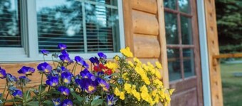 Cattle Kate At Mountain River Ranch