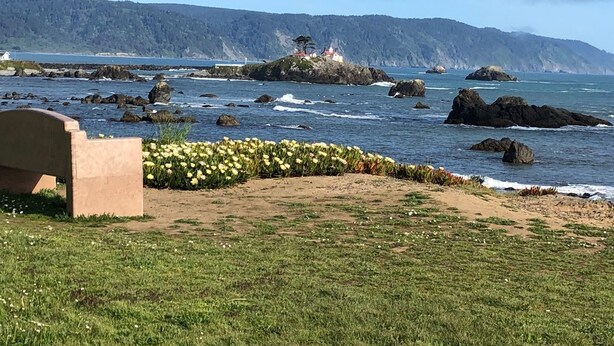 A coastal landscape with a rocky shoreline, a grassy area with yellow flowers, and a lighthouse in the distance.