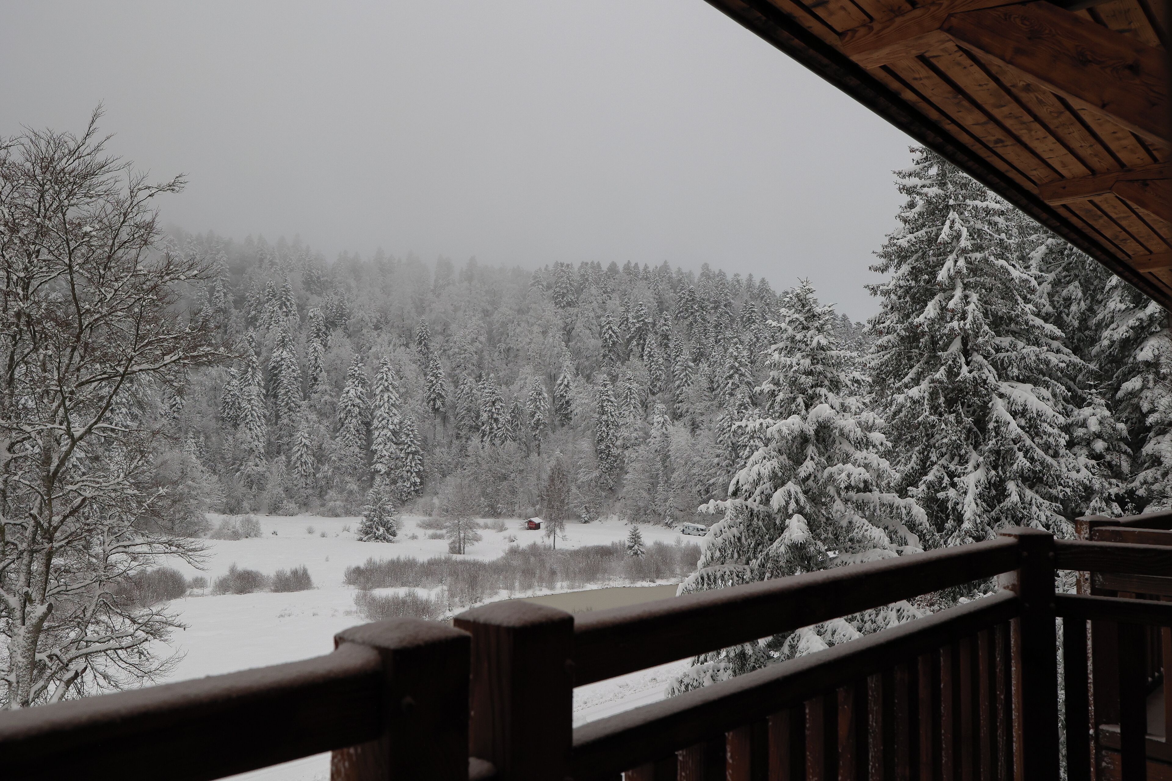 A snowy forest view from a wooden balcony.