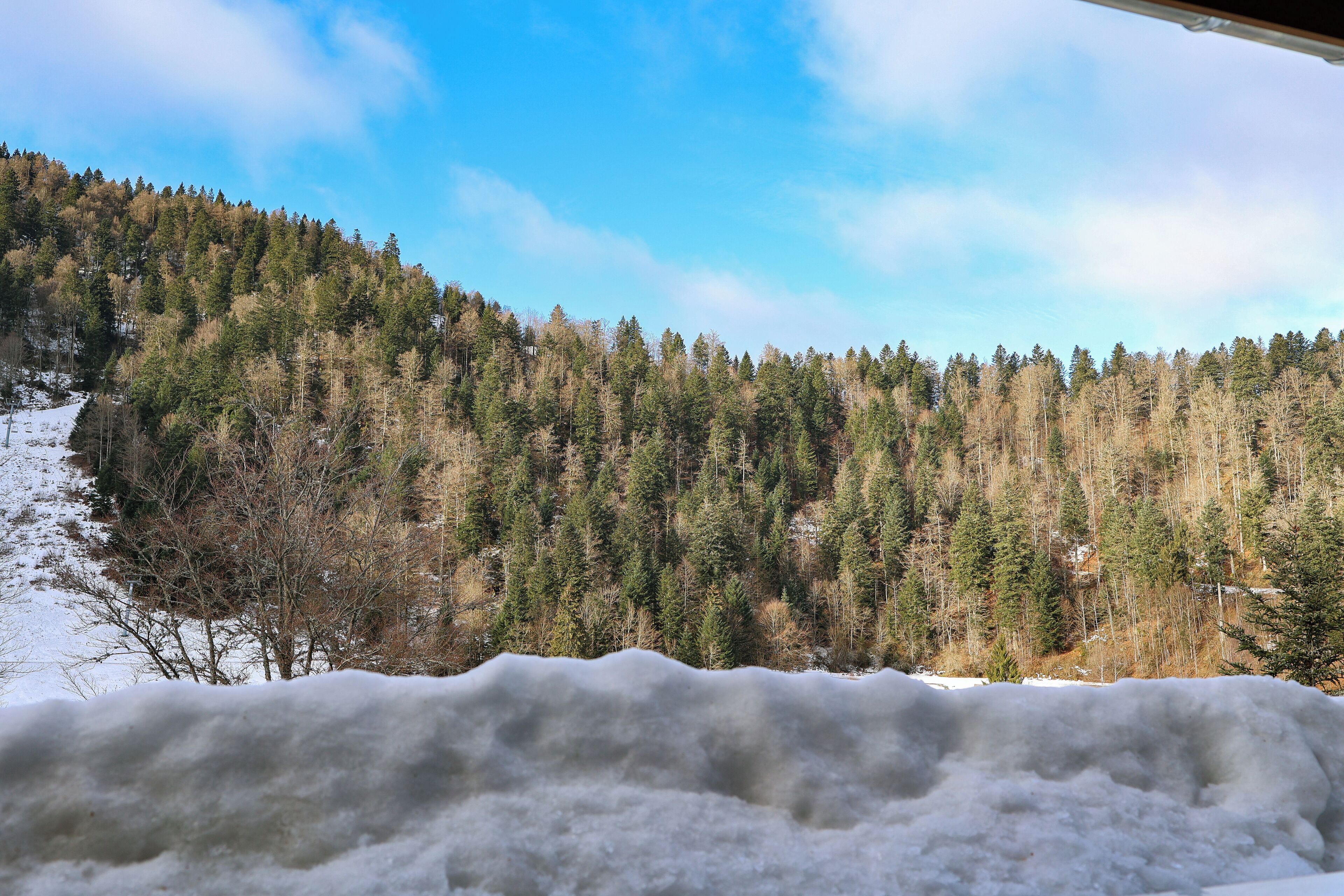 A snowy landscape with a forested hill and a clear sky.