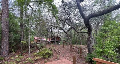 We wanna get away to the cabin in White Springs