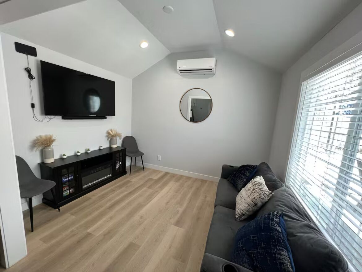 Smart TV, chimenea y libros 