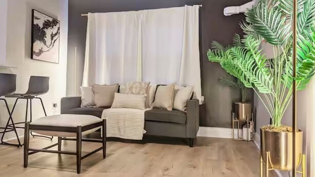 A modern living room with a grey sofa, a small table, and a potted plant. - Stylish & Cozy #3 - 8 mins to DCA & Washington DC (Alexandria)
