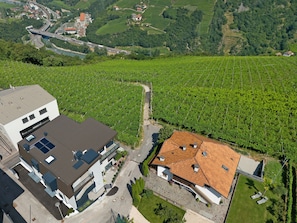 A modern building with a flat roof, a paved driveway, and a small garden area.