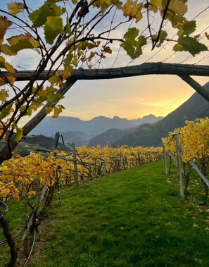 Parco della struttura