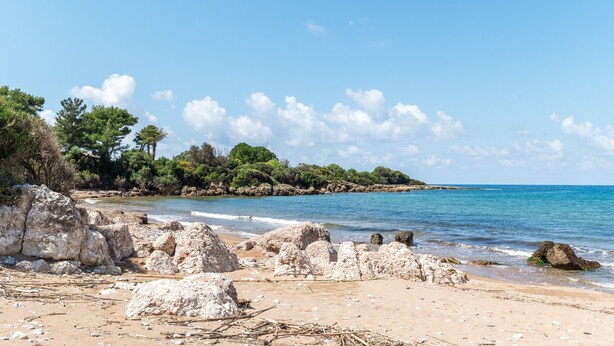 Una playa con rocas, árboles y agua azul cristalina.