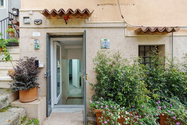 A building entrance with a door, potted plants, and a small window.