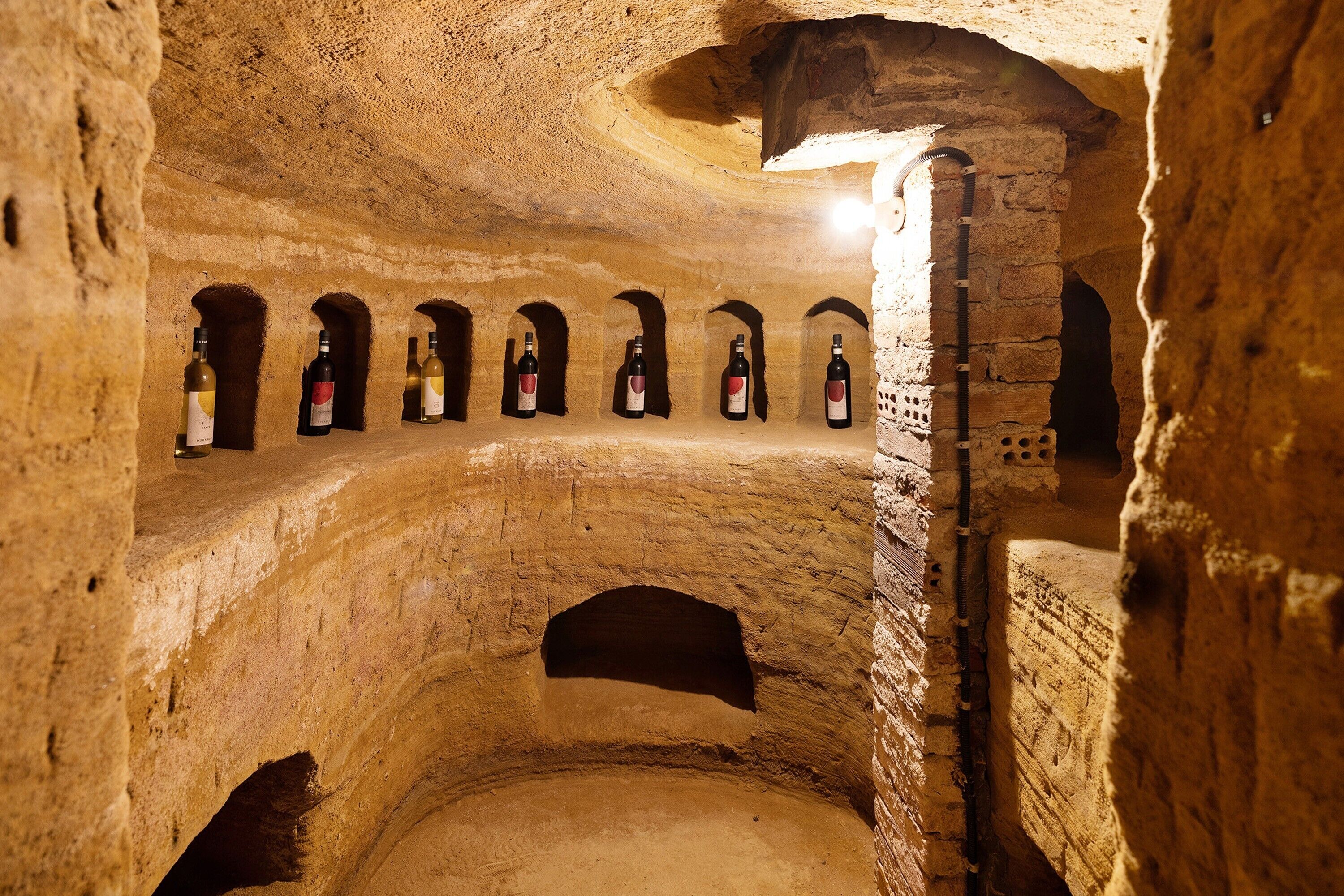 An underground wine cellar with arched niches holding bottles.