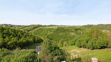 Un paysage rural caractérisé par des collines douces, une végétation luxuriante et un panneau solaire.