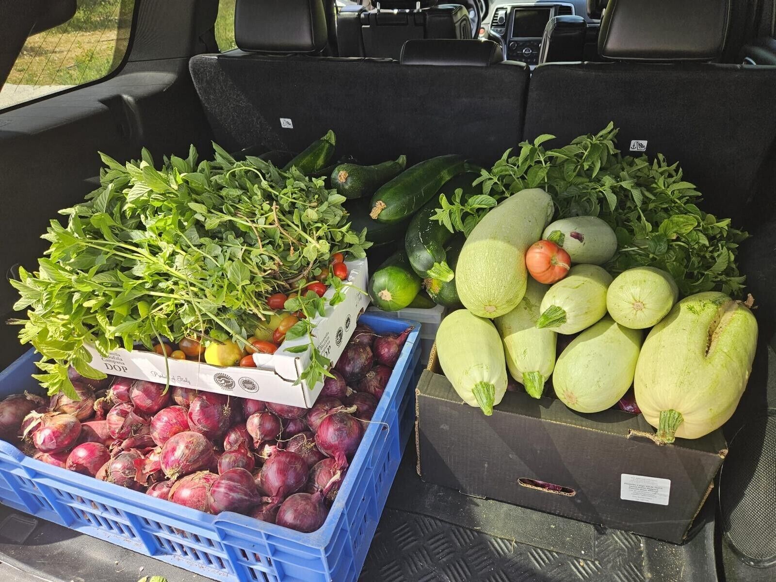 A vehicle's trunk filled with various fresh produce including leafy greens, tomatoes, cucumbers, and squash.