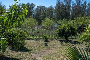 Property grounds - Country House 'Al Lado Del Río' with Private Pool, Wi-Fi and Air Conditioning (Coín)