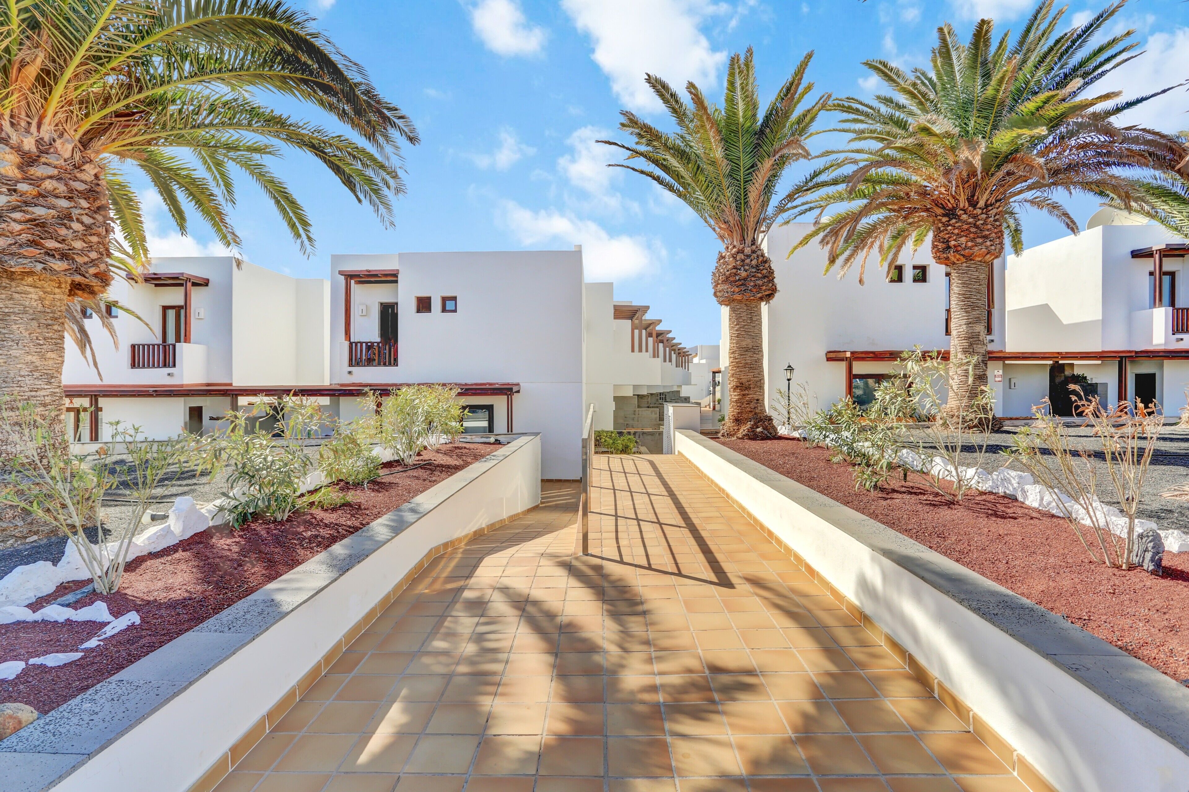 A pathway leading to a building with white walls and balconies, surrounded by palm trees and plants.