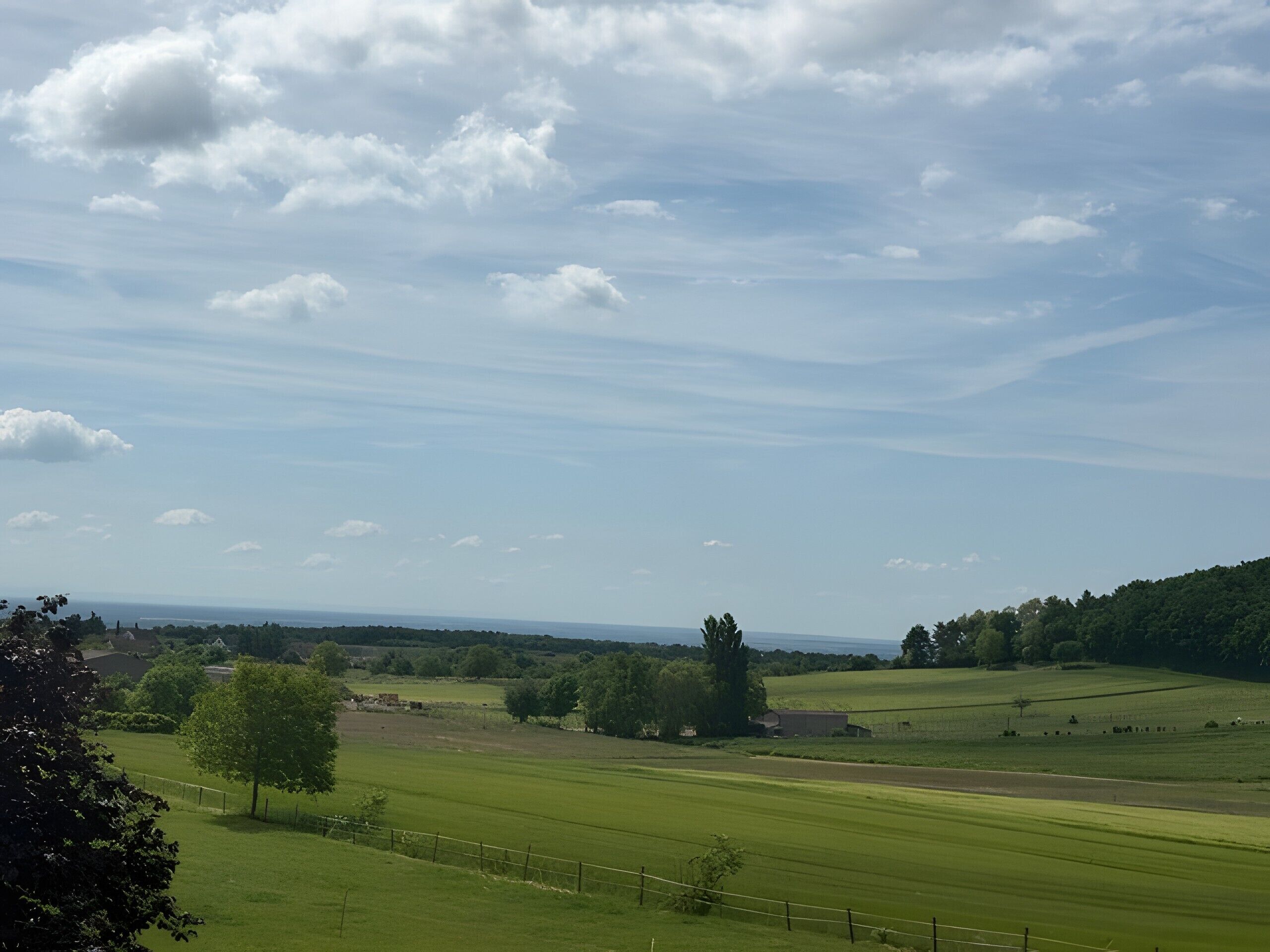 Ländliche Landschaft mit offenen Feldern, weiter Ferne und vereinzelten Bäumen.