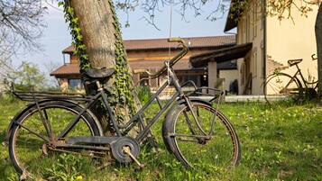 Un vélo est garé contre un arbre dans une zone herbeuse, avec un bâtiment en arrière-plan.