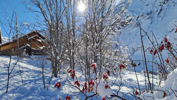 A snow-covered landscape with a wooden cabin and bare trees.