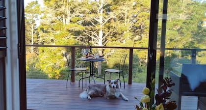 Tranquil Studio Retreat in Leura with Private Bush Outlook.