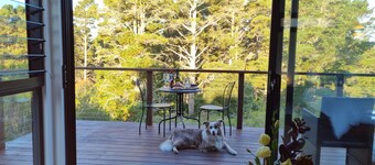 Tranquil Studio Retreat in Leura with Private Bush Outlook.