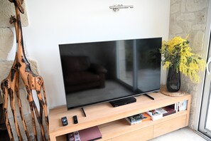 Télévision, cheminée, lecteur de DVD, table de tennis de table