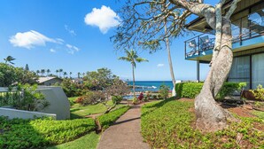 A pathway leading to a building with a balcony overlooking the ocean, surrounded by lush greenery and palm trees.