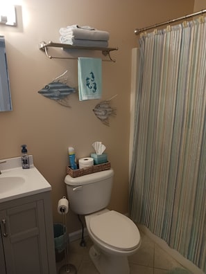 Sèche-cheveux, savon, papier toilette