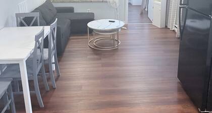 Charming garden level 1 bedroom 1 bath apartment in Brockton