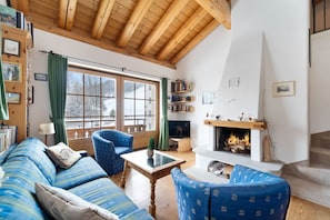 Smart TV, chimenea, libros