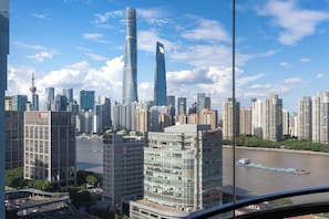 Superior Apartment, City View | View from room