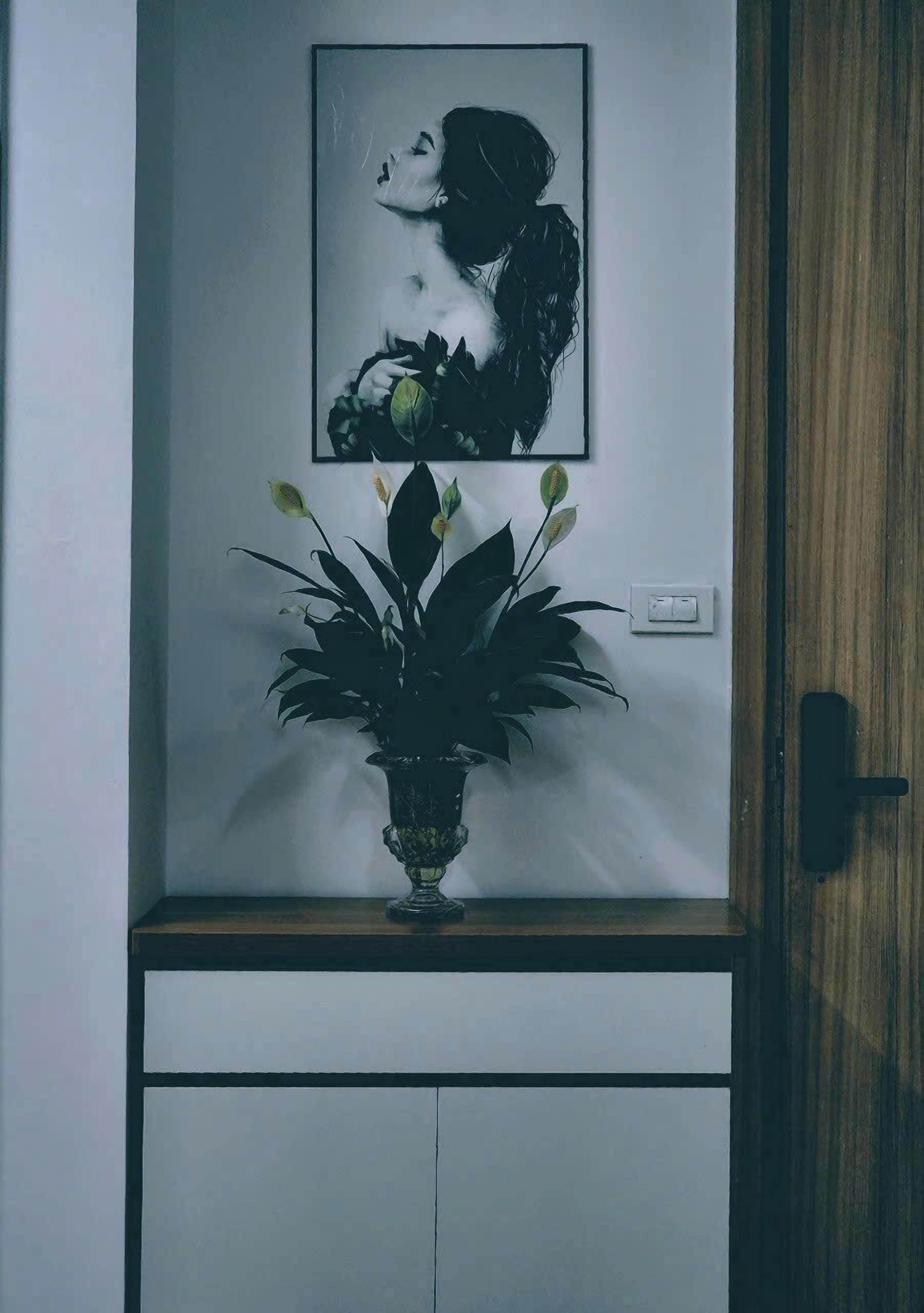 A framed artwork above a potted plant on a shelf.