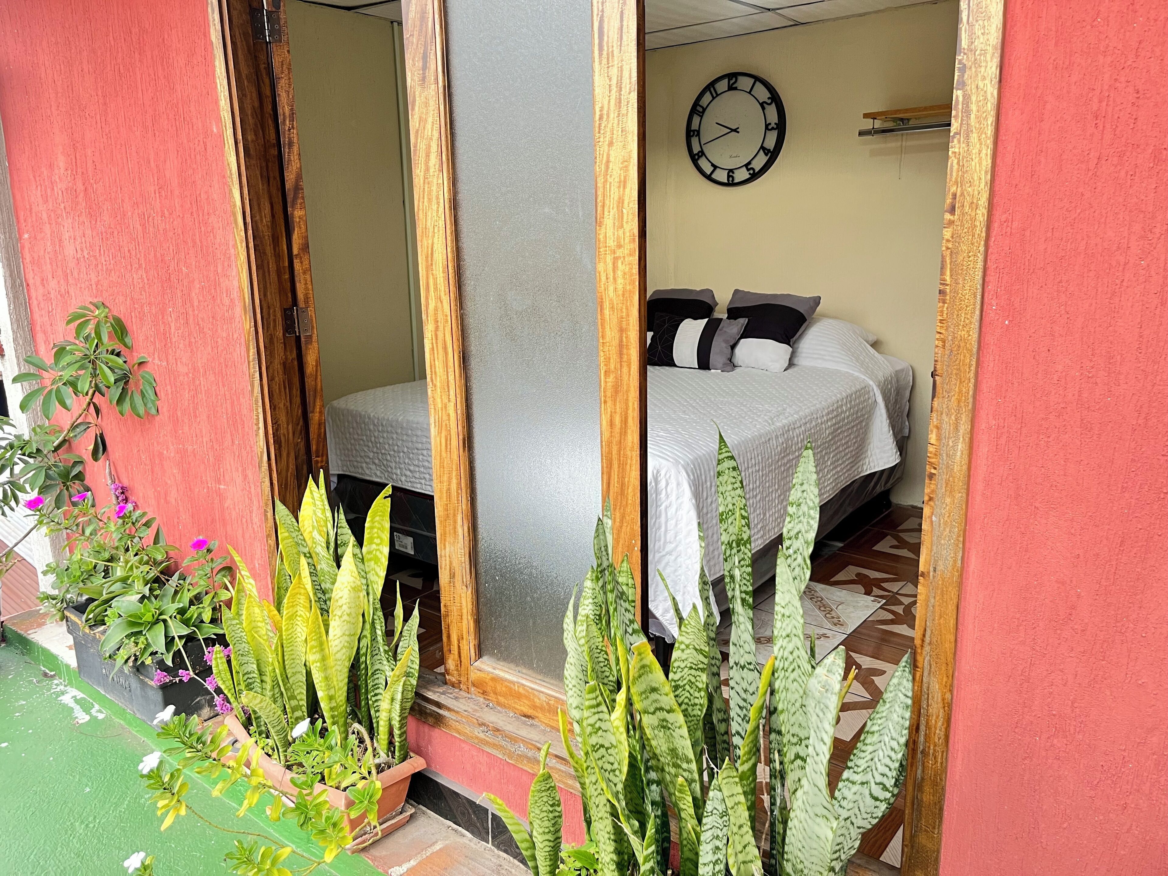 Superior Room, Mountain View | View from room