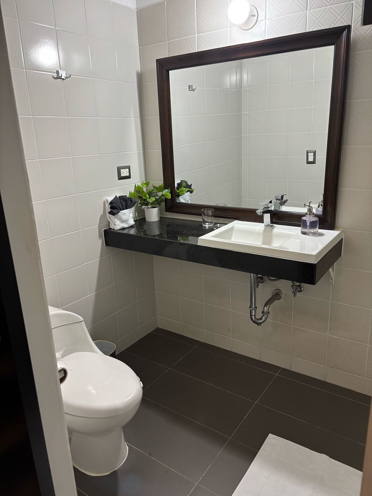 Casa de banho moderna com sanita branca, lavatório preto com espelho acima e uma pequena planta num vaso no balcão.