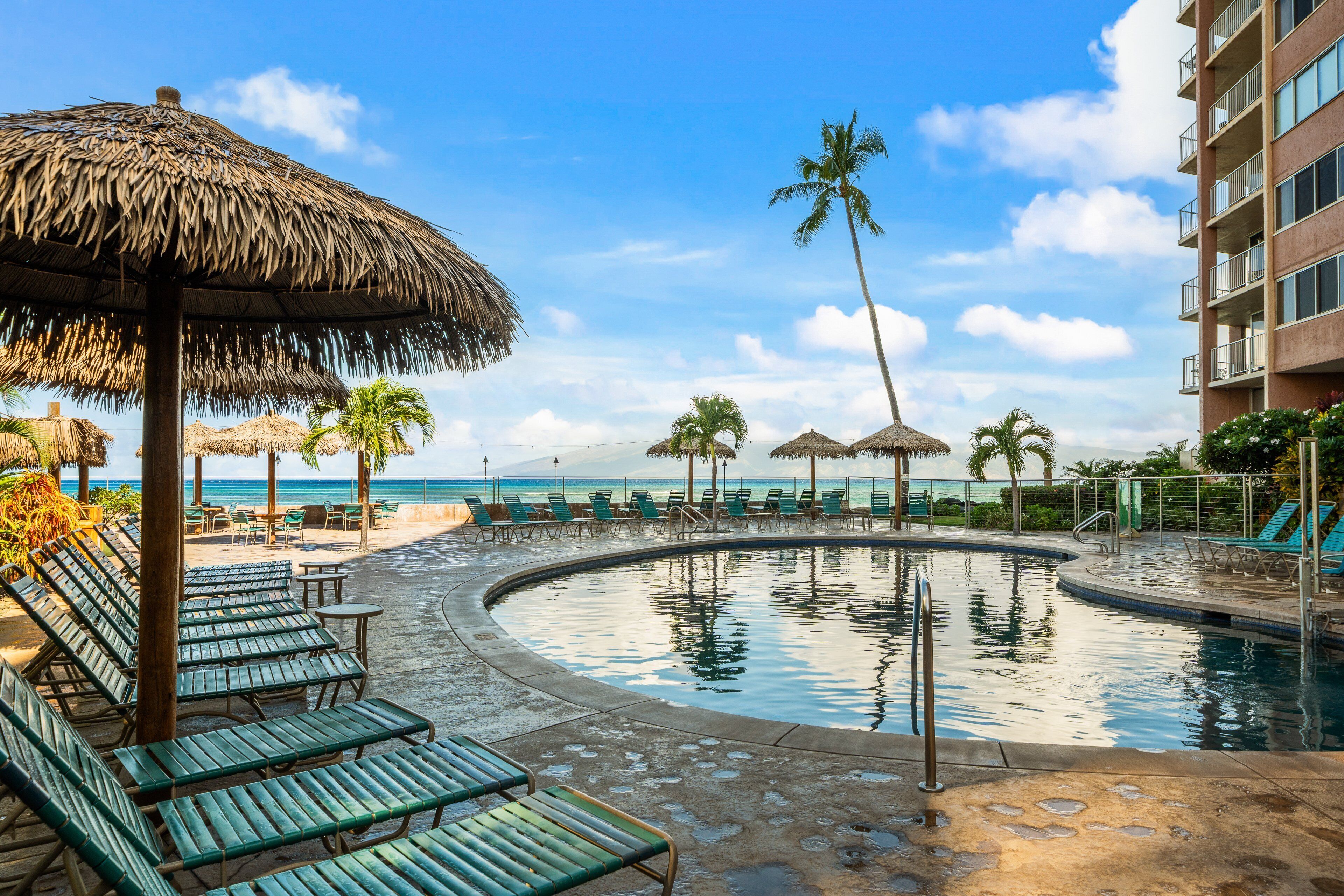 A poolside area with lounge chairs, a thatched umbrella, and a palm tree.