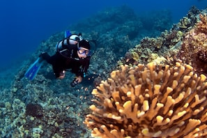 Divers