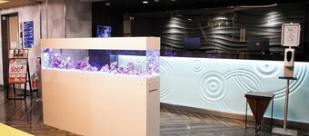 Nonsmoking Semidouble Homemade breakfast buffet included / Kumamoto Kumamoto