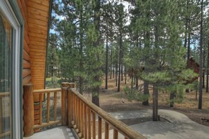Superior Cabin, Fireplace, Mountain View | View from room