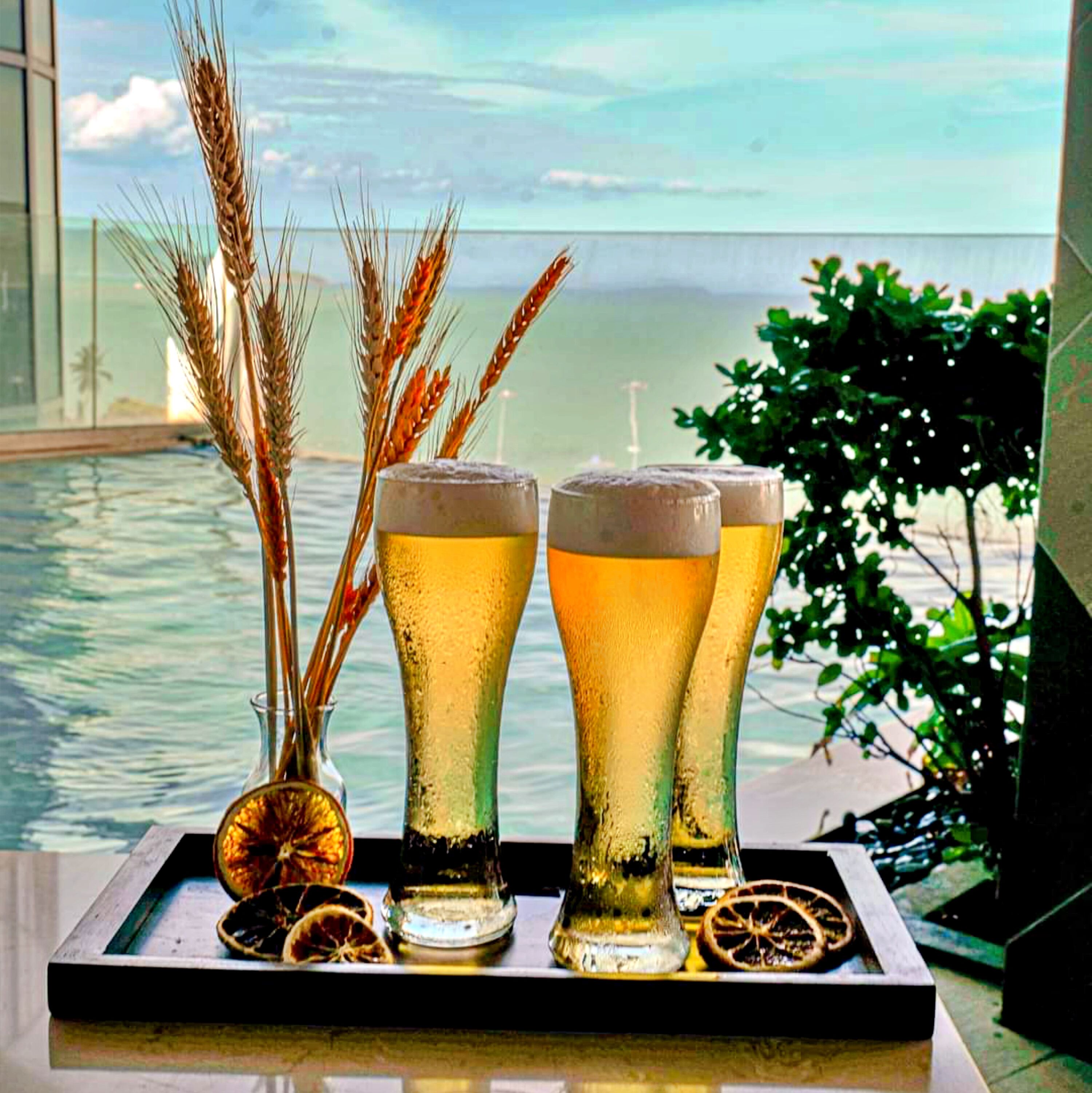 Alberca al aire libre 