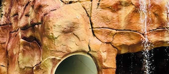 Paradise Palms Tropical Villa - Aanuka