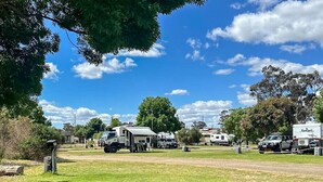 Ein Campingplatz mit Wohnmobilen und einem Wohnwagen, umgeben von Bäumen und freien Grünflächen.