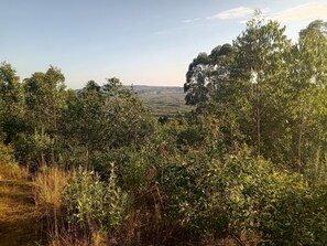 Miscellaneous - Welcome to Sereni Stays – A Peaceful Retreat Near Menengai Crater. (Nakuru)