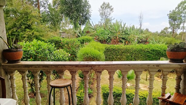 Varanda com um banquinho de madeira, plantas em vasos e vista de um jardim exuberante com diversas plantas e árvores.