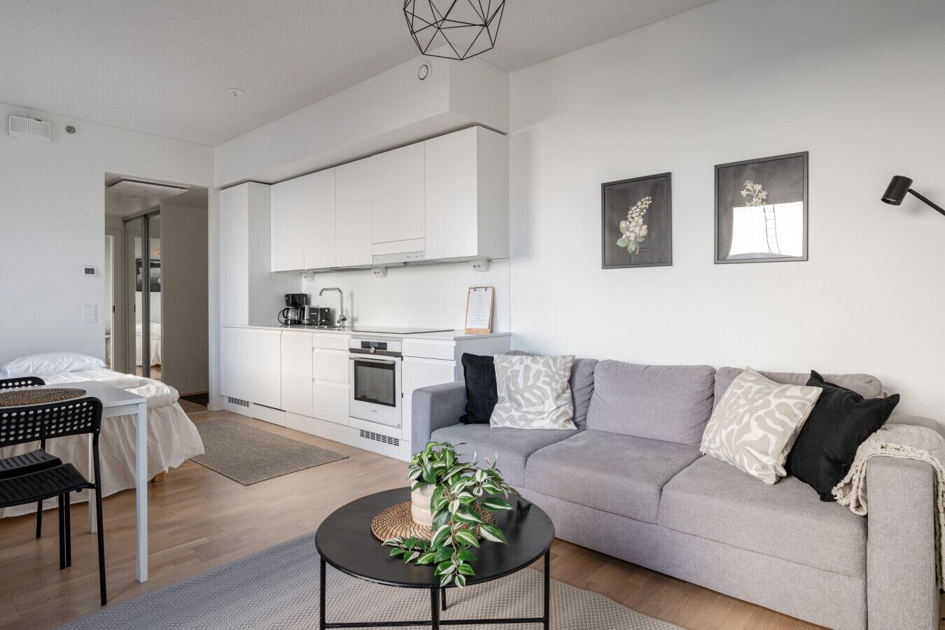 A modern apartment with a kitchenette, a grey sofa, a dining area, and a small black table with a plant.
