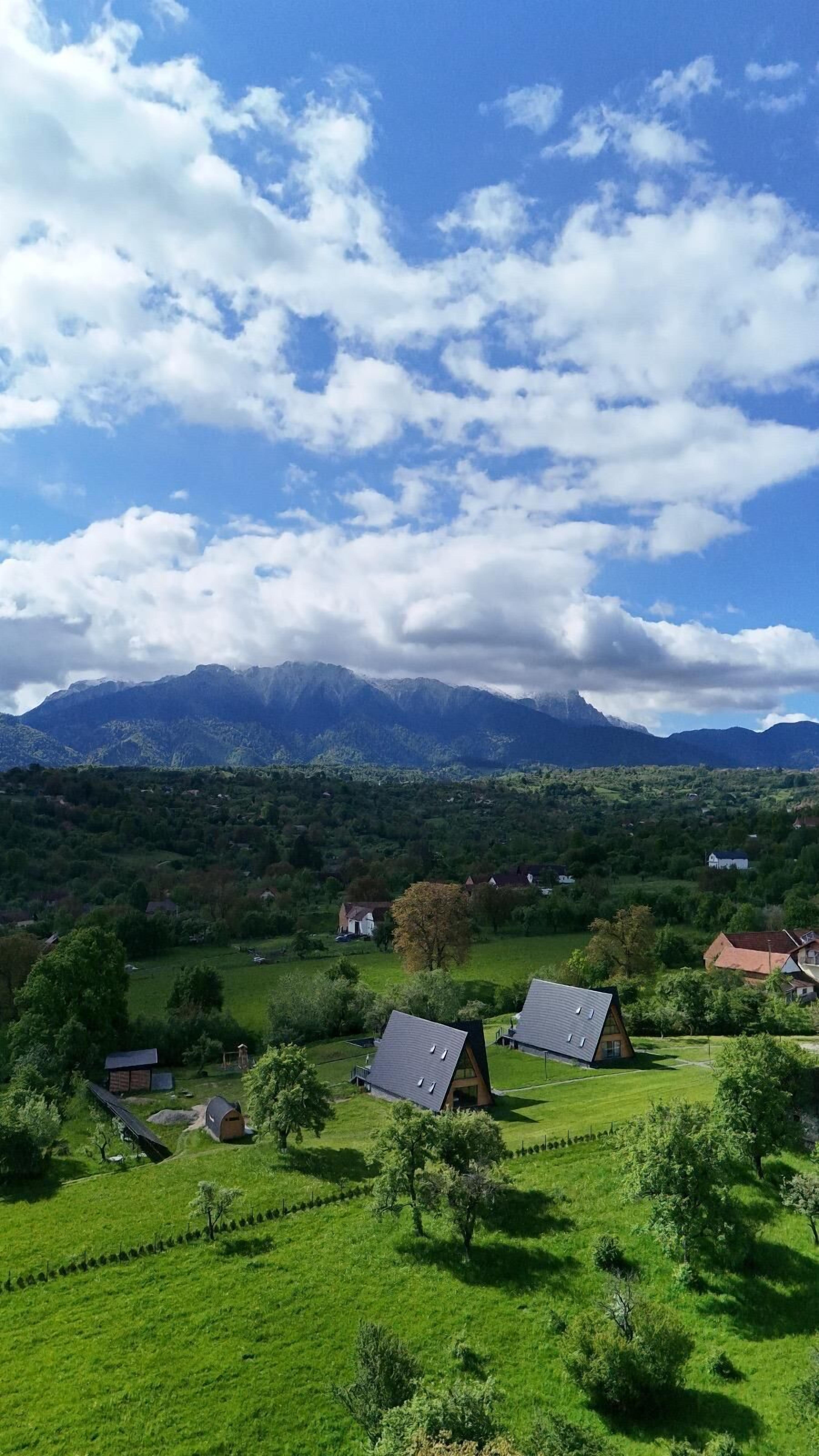 Paisaje rural con casas, un viñedo y montañas al fondo.