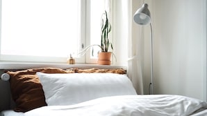 Ein ordentlich bezogenes Bett mit weißer und brauner Bettwäsche, ein Topf mit einer Pflanze auf der Fensterbank und eine Stehlampe neben dem Bett.