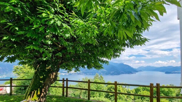 Blick auf einen See mit einem Holzzaun und drei beigen Liegestühlen unter einem Baum.