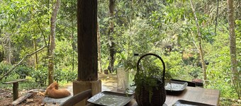 Volunteer at Forest Cabin with Free Vegan meals.beautiful Maguru River view
