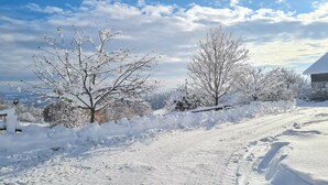 Un paysage enneigé, avec un ciel dégagé, une route et des arbres sans feuilles.
