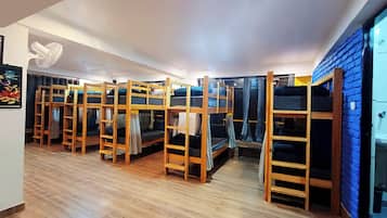Bed in 10 Bed Mixed Dormitory