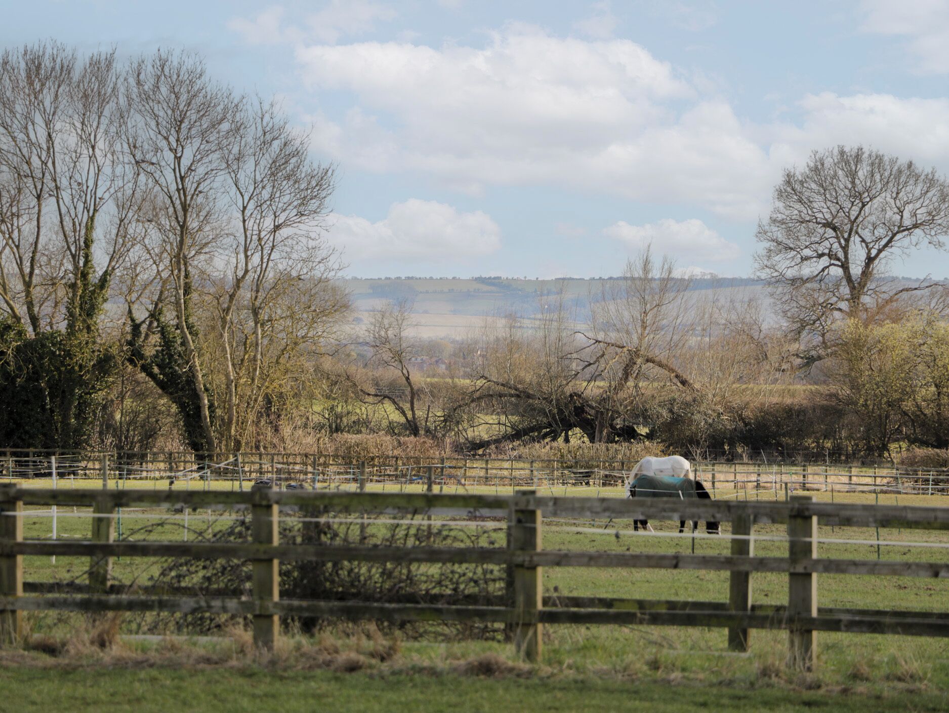 Paisaje rural con una valla de madera, árboles y una vista distante de un campo.